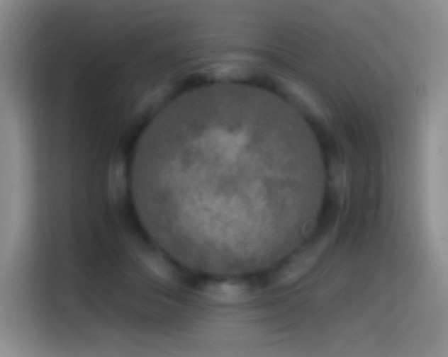 X0000114680506200910211213