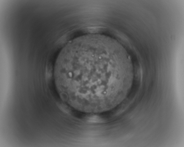 X0000114680507200910211213