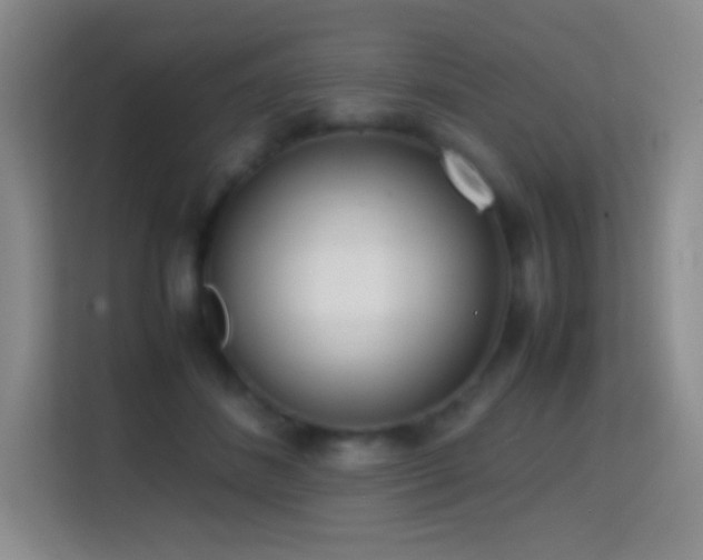 X0000114680508200910211213