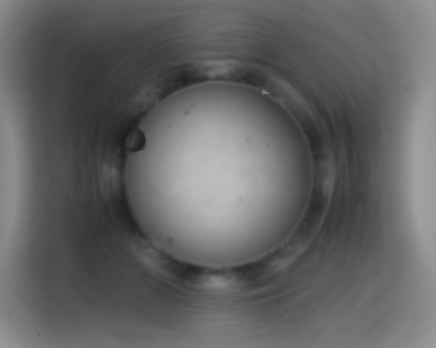 X0000114680510200910211213