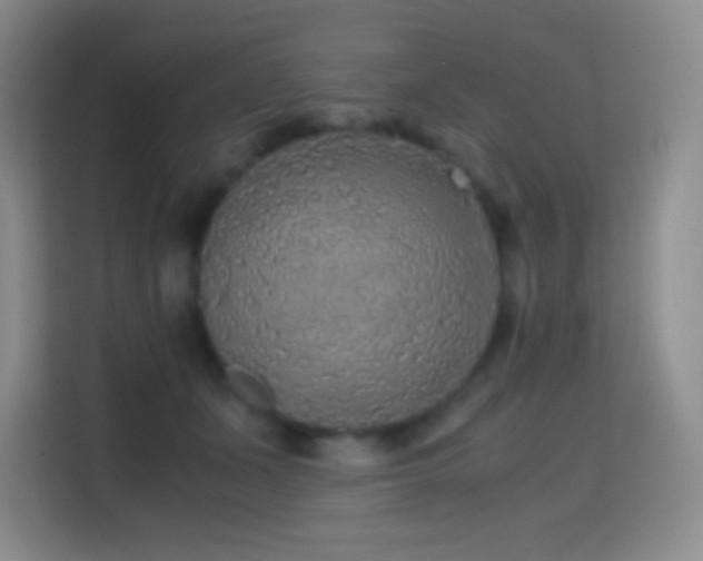 X0000114680511200910211213