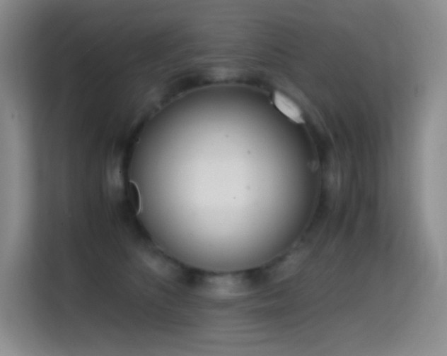 X0000114680516200910211213