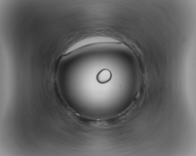 X0000114680517200910211213