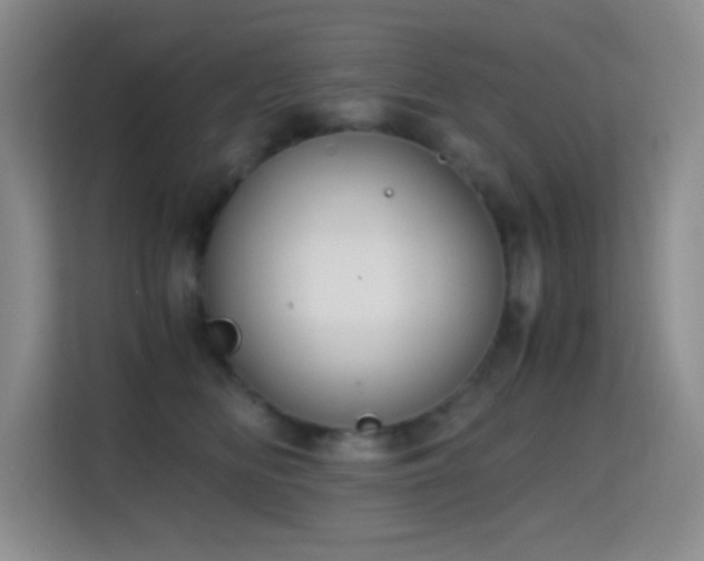 X0000114680518200910211213