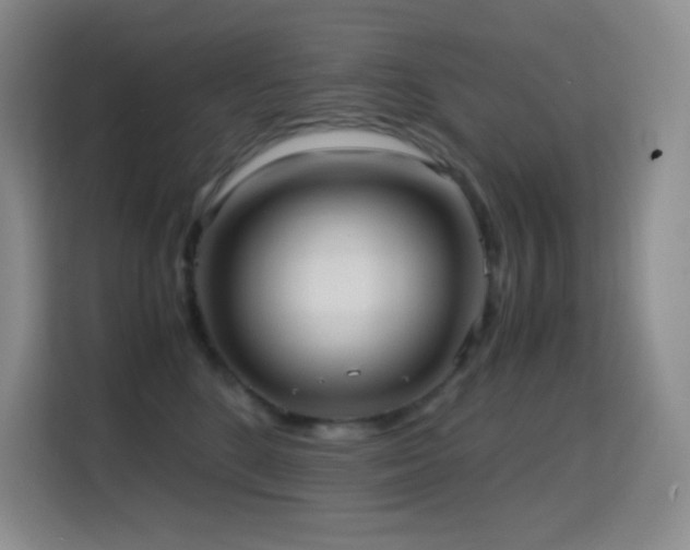 X0000114680520200910211213