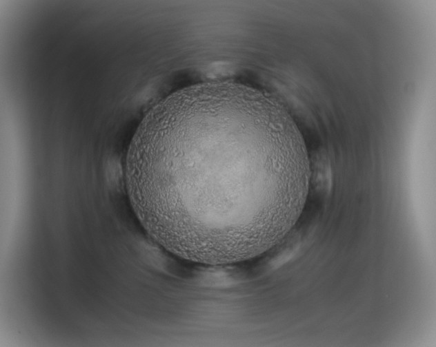 X0000114680523200910211213