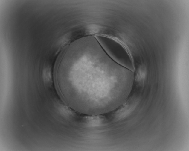 X0000114680524200910211213