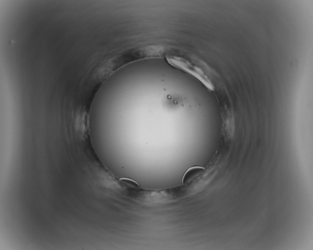 X0000114680525200910211213