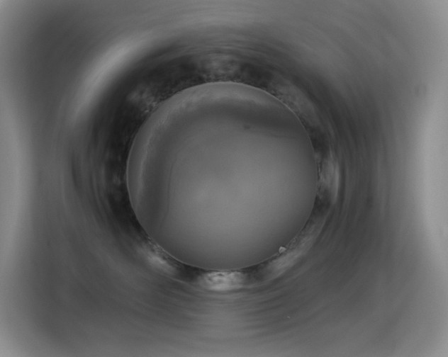 X0000114680526200910211213