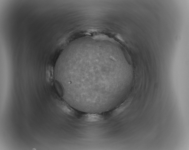 X0000114680528200910211213
