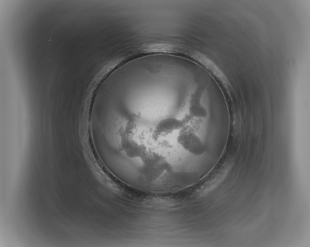 X0000114680529200910211212