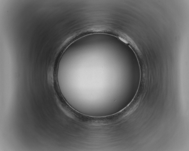 X0000114680530200910211212