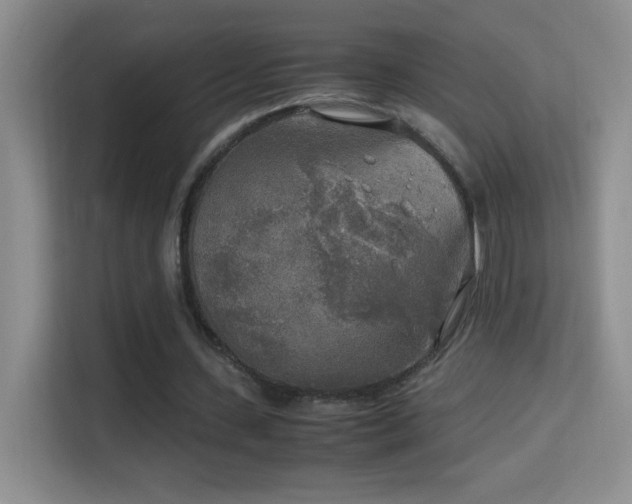 X0000114680531200910211212