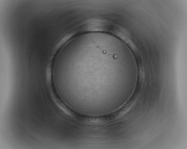 X0000114680533200910211212
