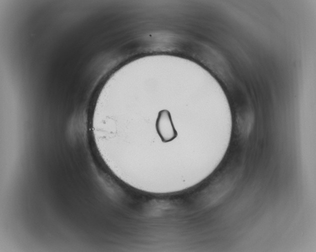 X0000114680534200910211212