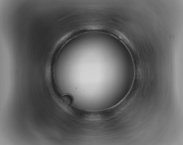 X0000114680535200910211212