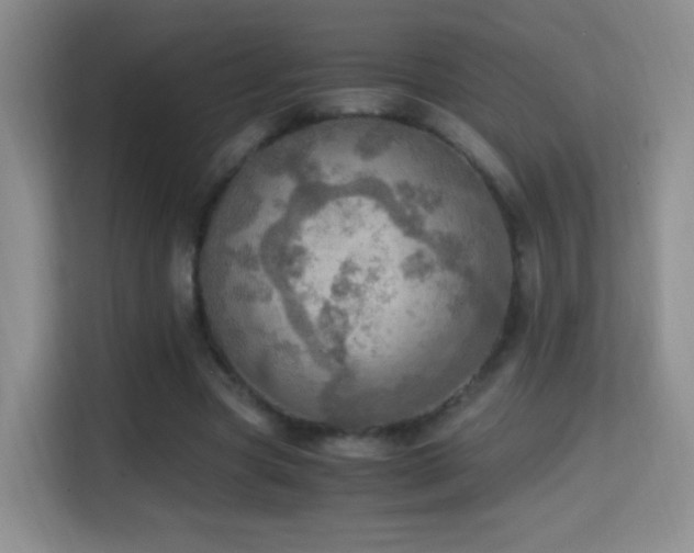 X0000114680537200910211212