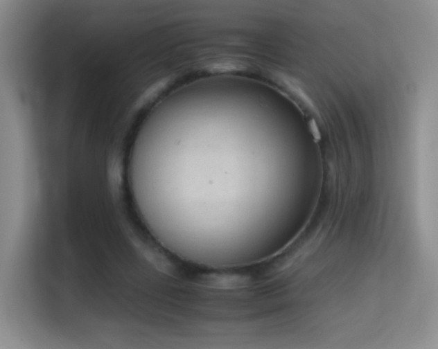 X0000114680539200910211212