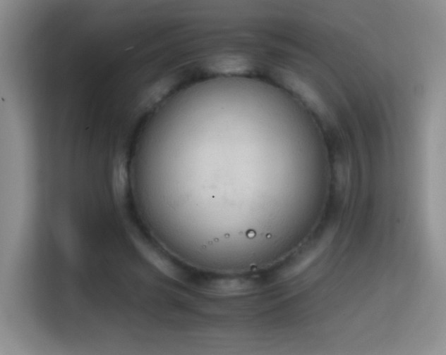 X0000114680541200910211212