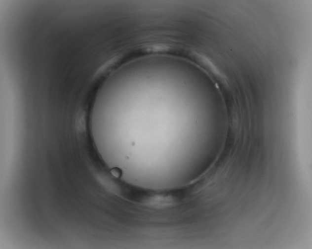 X0000114680543200910211212