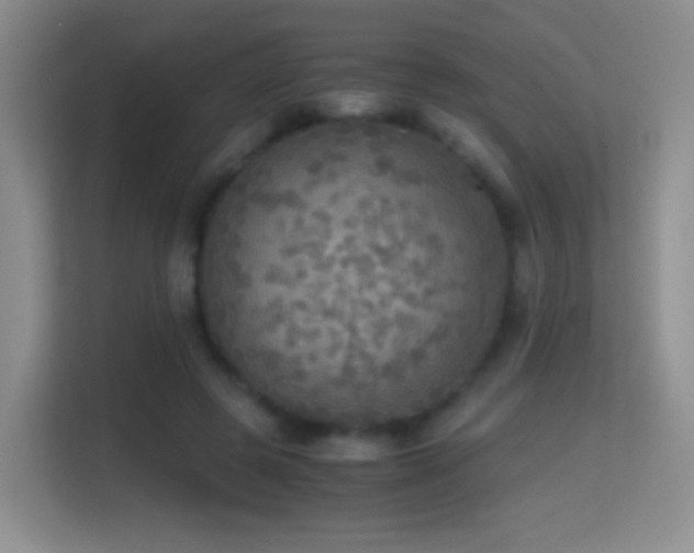 X0000114680545200910211212