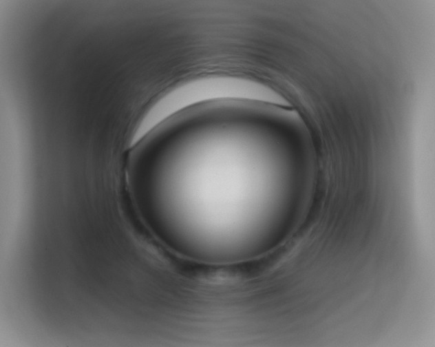 X0000114680546200910211212