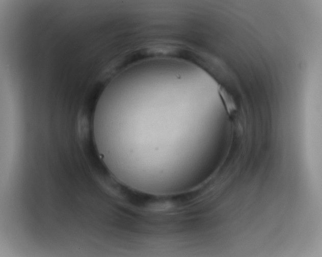 X0000114680551200910211212