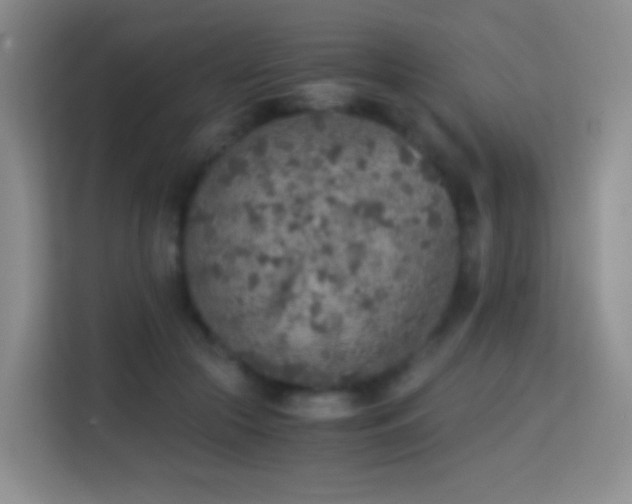 X0000114680553200910211212
