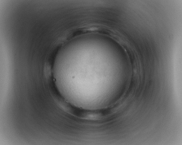 X0000114680555200910211212