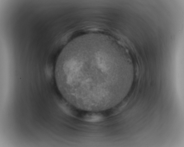X0000114680559200910211212