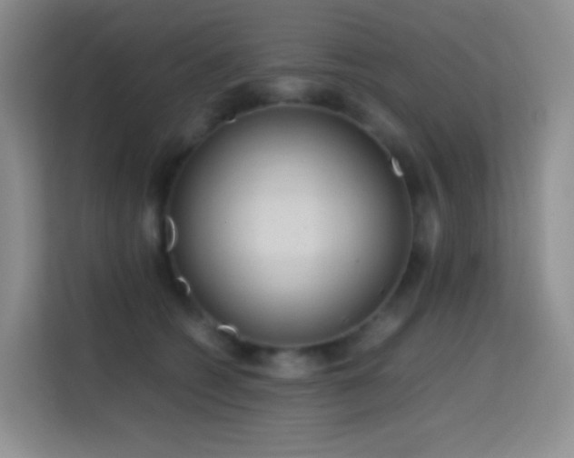 X0000114680562200910211212