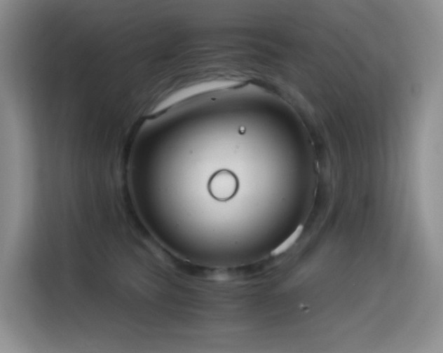 X0000114680565200910211212