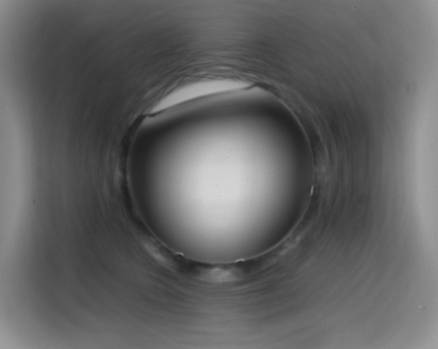 X0000114680566200910211212
