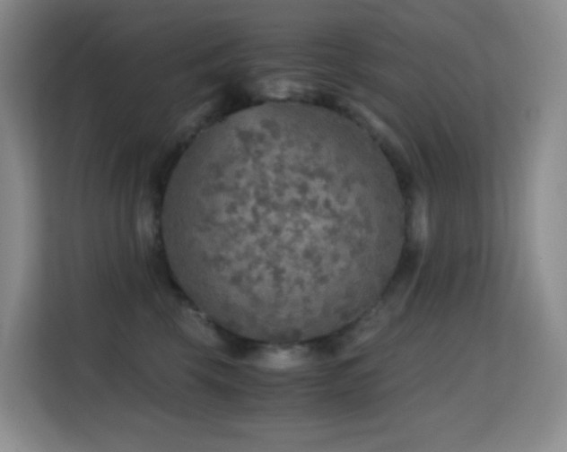 X0000114680569200910211212