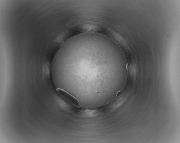 X0000114680570200910211212