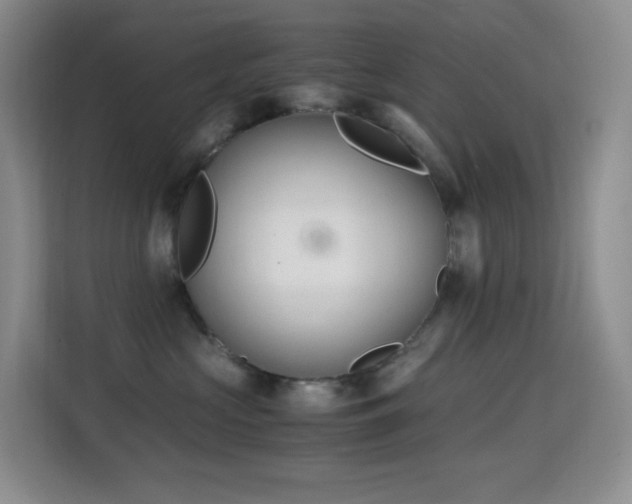 X0000114680573200910211213
