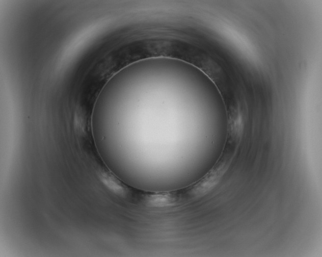 X0000114680574200910211213