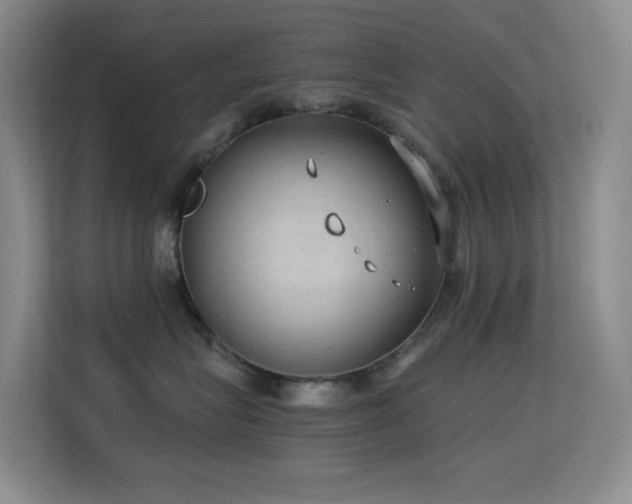 X0000114680575200910211213