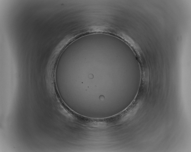 X0000114680577200910211212