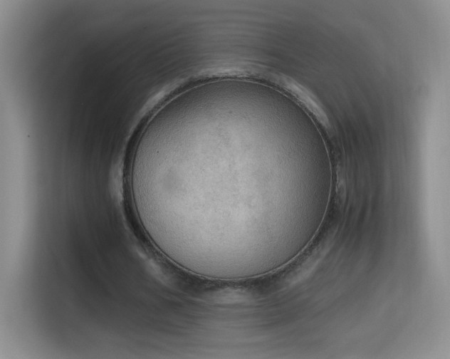 X0000114680578200910211212