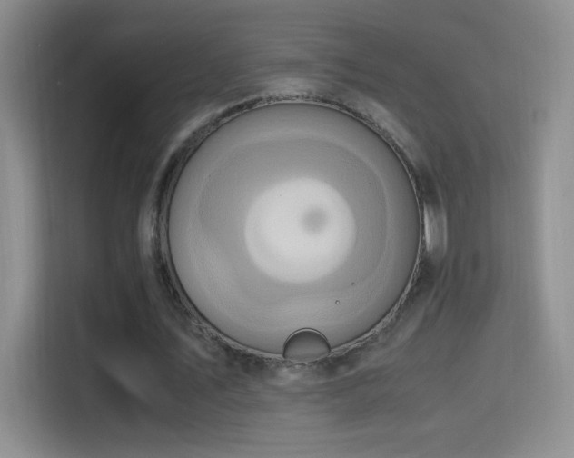 X0000114680579200910211212