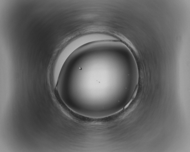 X0000114680581200910211212