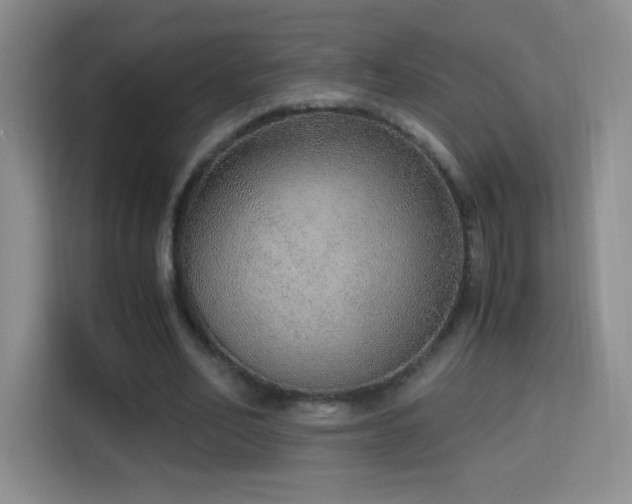 X0000114680582200910211212