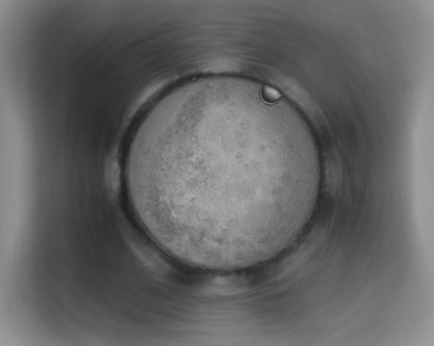 X0000114680584200910211212