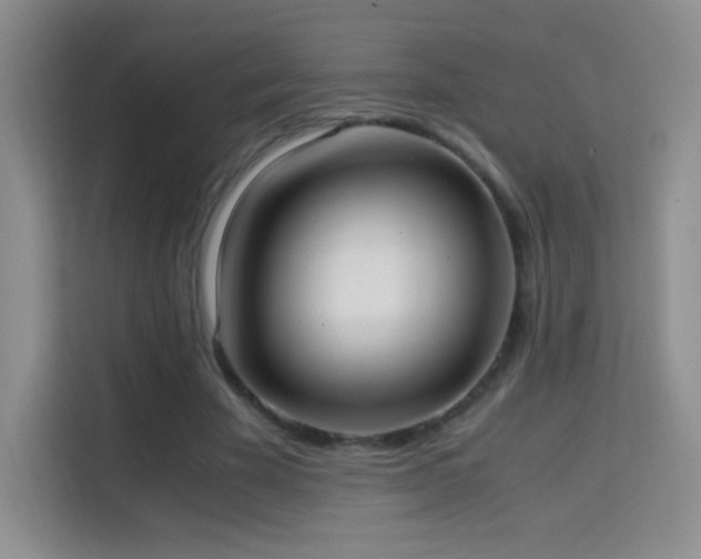 X0000114680585200910211212