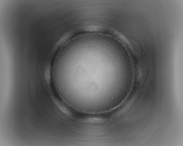 X0000114680586200910211212