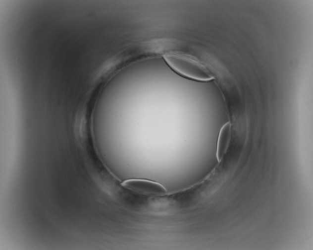 X0000114680587200910211212