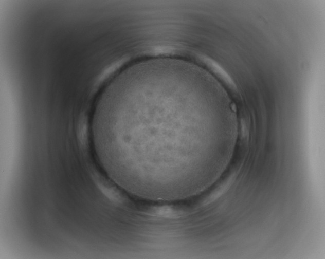 X0000114680588200910211212