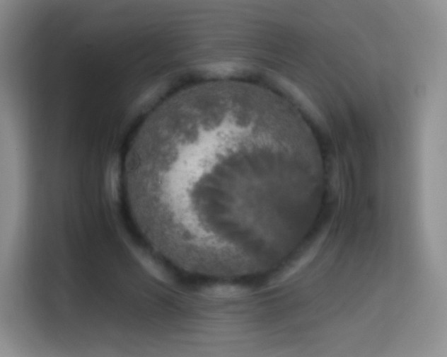 X0000114680590200910211212