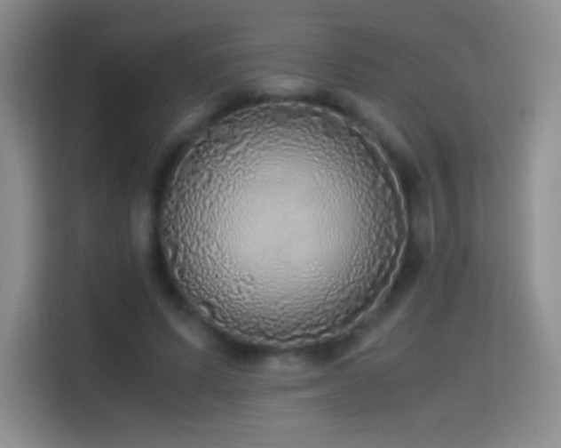 X0000114680591200910211212
